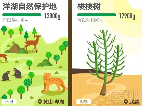 支付宝蚂蚁森林新树上线洋湖自然保护地你种了吗